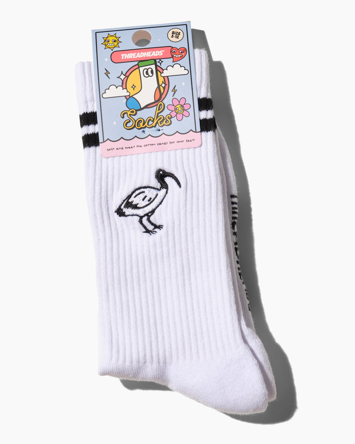 Bin Chicken Collegiate Socks Australia Online