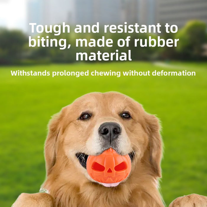 Color Changing Pumpkin Dog Toy