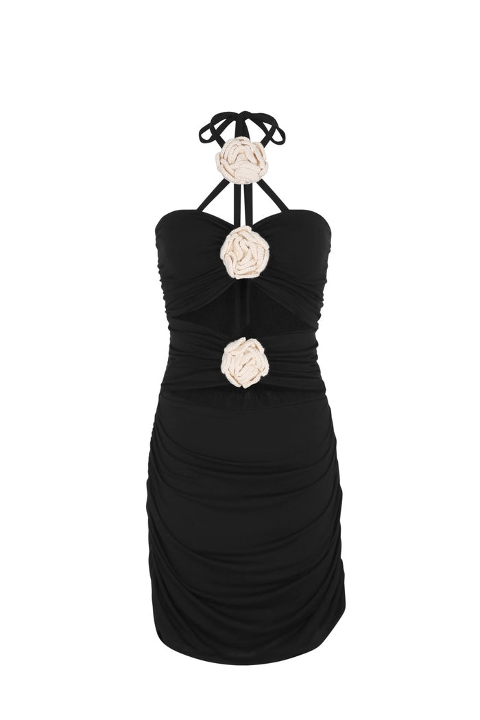Desert Rose Mini Dress
