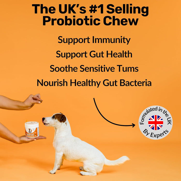 Dog Digestive Health Chewable Tablets