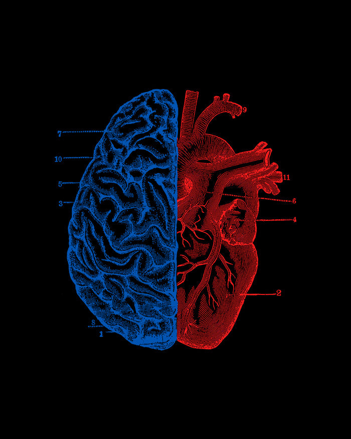Heart and Brain T-Shirt Australia Online