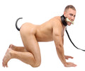Intro to Puppy Play 3 Piece Starter Kit