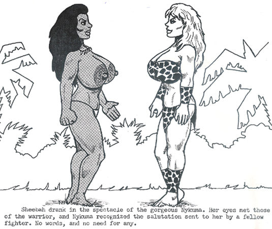 JMR-CS-013  SHEEBAH vs. MOTENYA plus DARK CHALLENGE  Cartoon Story/Illustrated Text