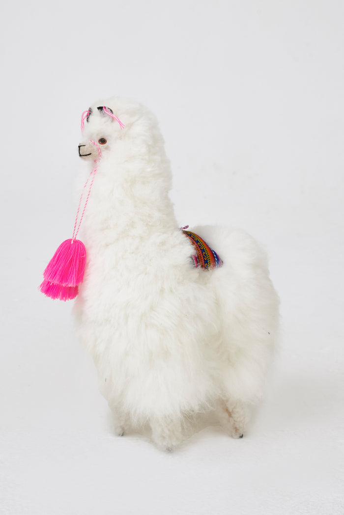 Llamas