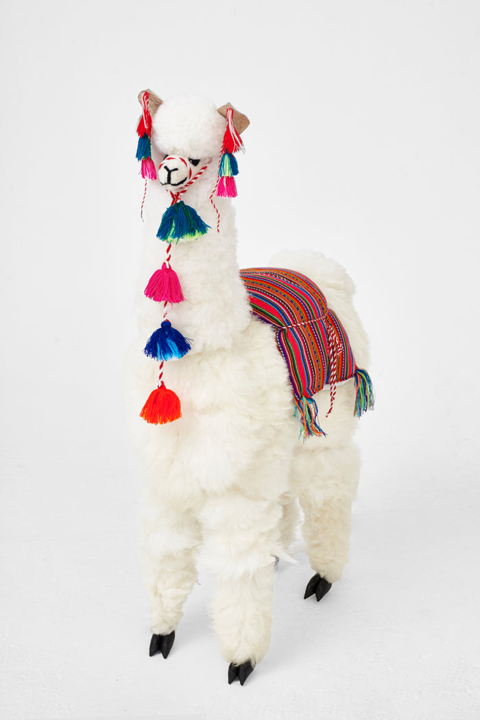 Llamas