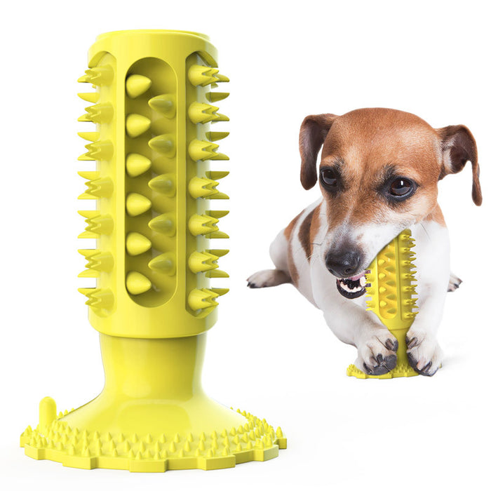 Squeaky Dog Chew Toy for Dental Health