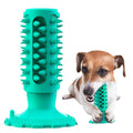 Squeaky Dog Chew Toy for Dental Health