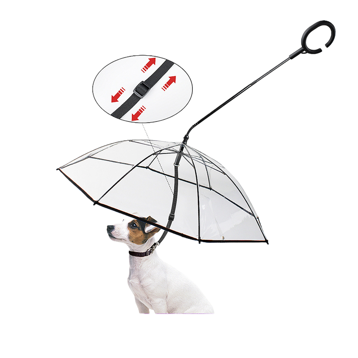 Transparent umbrella dog leash